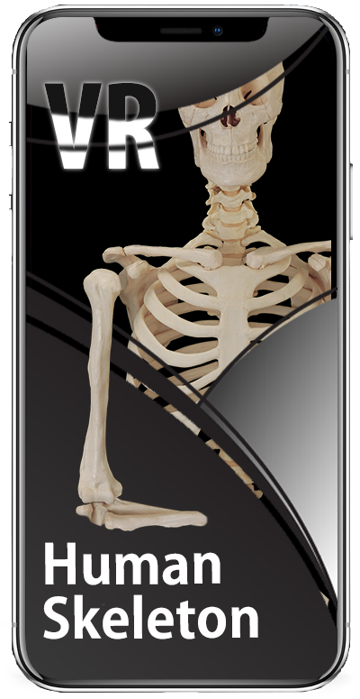 screen1