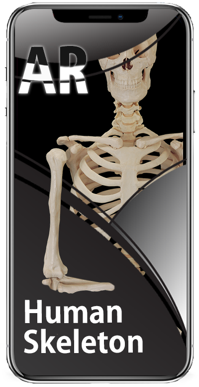 screen1